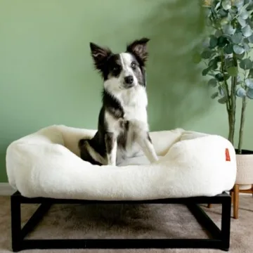 Luxury Elevated Dog Bed for Medium Dogs - FUZI