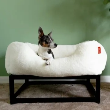 Luxury Elevated Dog Bed for Medium Dogs - FUZI
