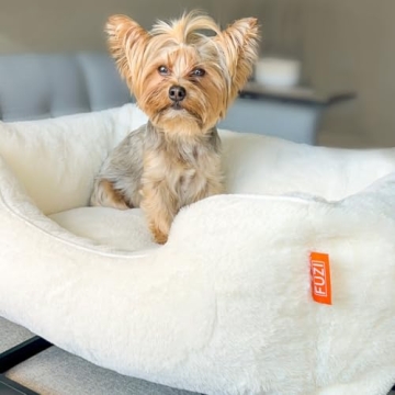 Luxury Elevated Dog Bed for Medium Dogs - FUZI