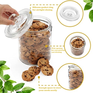 Stylish Airtight Glass Storage Jars Set of 2