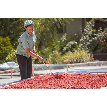 Mitmita | Imported Authentic Ethiopian Spice Blend With Bird's Eye Chili Pepper (2 oz) | NON-GMO | No Preservatives | Made and Imported from Ethiopia | Fiery Hot