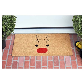 Calloway Mills 105011729 Rudolph Doormat, 17" x 29"