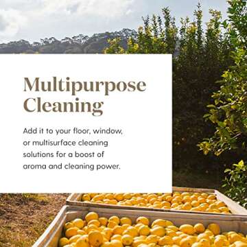 Young Living Premium Grade Lemon Essential Oil 15ml, 100% Pure & Natural Invigorating Aromatherapy Young Living Certified Energize and Refresh Mind Body and Spirit Uplifting Mood Enhancing Focus