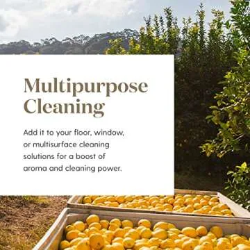 Young Living Premium Grade Lemon Essential Oil 15ml, 100% Pure & Natural Invigorating Aromatherapy Young Living Certified Energize and Refresh Mind Body and Spirit Uplifting Mood Enhancing Focus