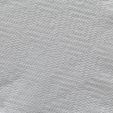 Dixie Ultra 2-Ply Napkin Refill - Eco-Friendly Dining