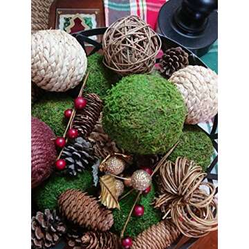 Farmoo Moss Balls Preserved All Natural, 3.5"-Set of 6 (Natural Green)