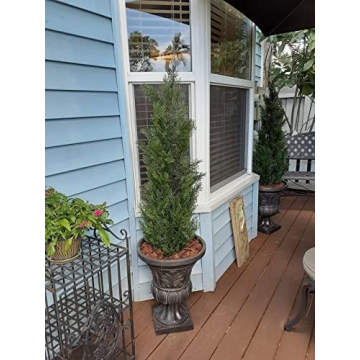 Artificial Cedar Topiary Trees 5 Feet for Indoor Outdoor