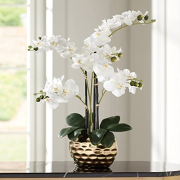 Dahlia Studios Realistic White Phalaenopsis Orchid for Home