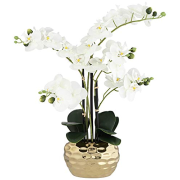 Dahlia Studios Realistic White Phalaenopsis Orchid for Home