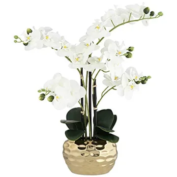 Dahlia Studios Realistic White Phalaenopsis Orchid for Home