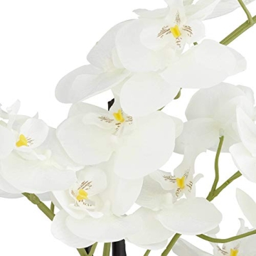 Dahlia Studios Realistic White Phalaenopsis Orchid for Home