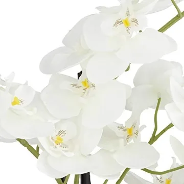 Dahlia Studios Realistic White Phalaenopsis Orchid for Home