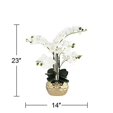 Dahlia Studios Realistic White Phalaenopsis Orchid for Home