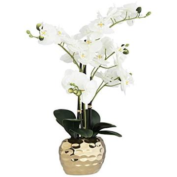 Dahlia Studios Realistic White Phalaenopsis Orchid for Home