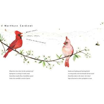 Snow Birds: A Picture Book