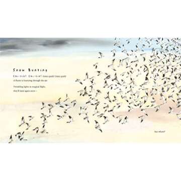 Snow Birds: A Picture Book