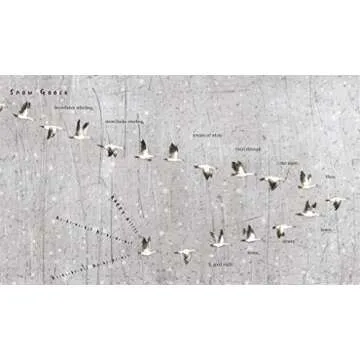 Snow Birds: A Charming Nature Picture Book