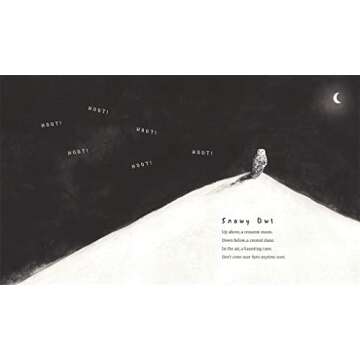 Snow Birds: A Picture Book