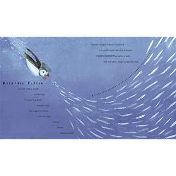 Snow Birds: A Picture Book