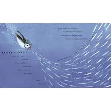 Snow Birds: A Charming Nature Picture Book