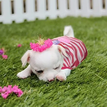 Stylish 6-Pack Dog Shirts for Small Pets in Cute Patterns