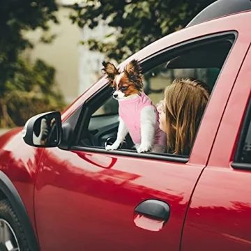 Stylish 6-Pack Dog Shirts for Small Pets in Cute Patterns