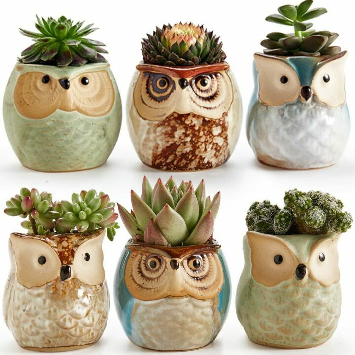 Owl Succulent Pots - Whimsical Ceramic Planters