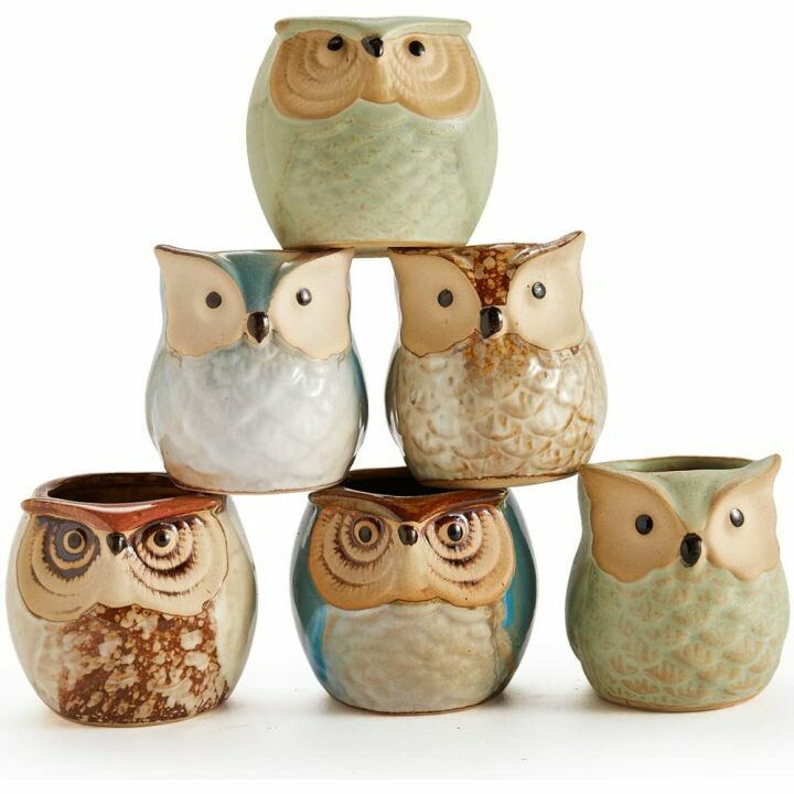 Owl Succulent Pots - Whimsical Ceramic Planters
