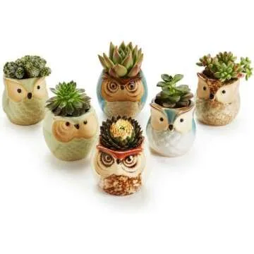 Owl Succulent Pots - Whimsical Ceramic Planters
