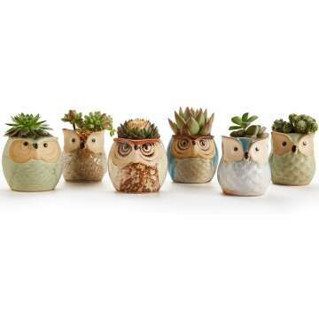 Owl Succulent Pots - Whimsical Ceramic Planters