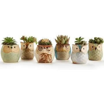 Owl Succulent Pots - Whimsical Ceramic Planters