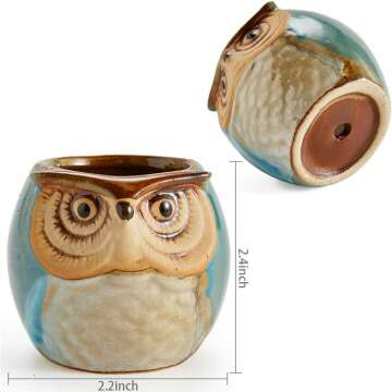 Owl Succulent Pots - Whimsical Ceramic Planters