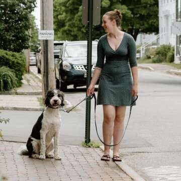 Fida 6 FT Heavy Duty Dog Leash with 2 Comfortable Padded Handles, Traffic Handle & Advanced Easy Snap Hook, Reflective Walking Lead for Large, Medium & Small Breed Dogs, Black