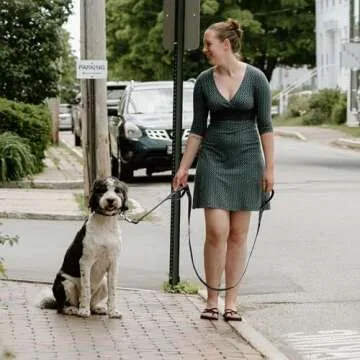 Fida 6 FT Heavy Duty Dog Leash with 2 Comfortable Padded Handles, Traffic Handle & Advanced Easy Snap Hook, Reflective Walking Lead for Large, Medium & Small Breed Dogs, Black