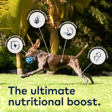 ZIWI Peak Air-Dried Dog Food - Natural High Protein Treats
