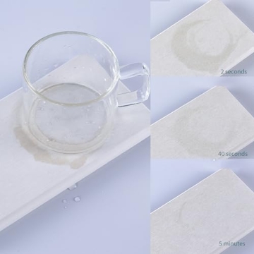 NiuYichee Diatomaceous Earth Coasters Fast Water Absorbing Trays