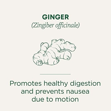 Organic Ginger Tea for Healthy Digestion and Relaxation