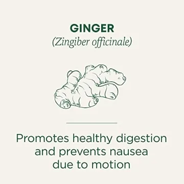 Organic Ginger Tea for Healthy Digestion and Relaxation