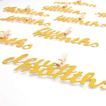 VGOODALL 1st Birthday Photo Banner - Milestone Decoration