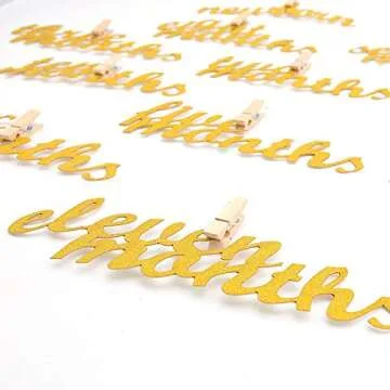 VGOODALL 1st Birthday Photo Banner - Milestone Decoration