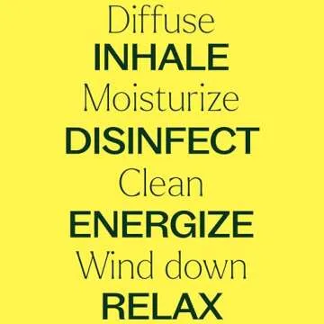 Plant Therapy 15 Essential Oil Set for Wellness and Relaxation