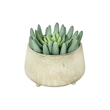 Creative Co-Op Large Stoneware Footed Cream Reactive Glaze Finish (Each one Will Vary) Pots and Planters, Tan
