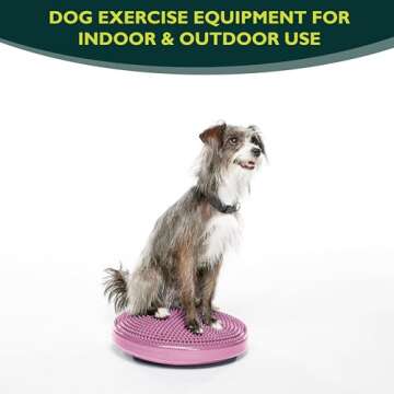FitPaws Dog Balance Disc, Razzleberry | Dog Exercise Equipment | Workout Tool for Strength, Core, St...