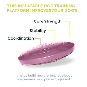 FitPaws Dog Balance Disc, Razzleberry | Dog Exercise Equipment | Workout Tool for Strength, Core, Stability & Rehabilitation 14”