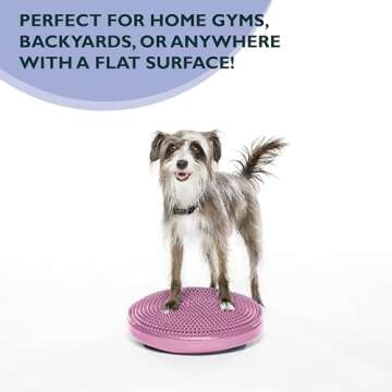 FitPaws Dog Balance Disc, Razzleberry | Dog Exercise Equipment | Workout Tool for Strength, Core, Stability & Rehabilitation 14”