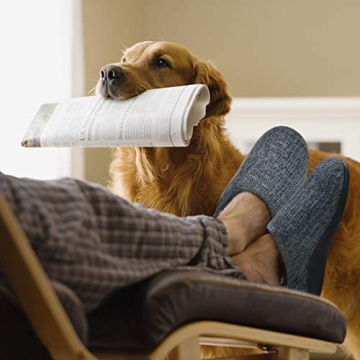 ERGOfoot Arch Support Slippers for Plantar Fasciitis Relief