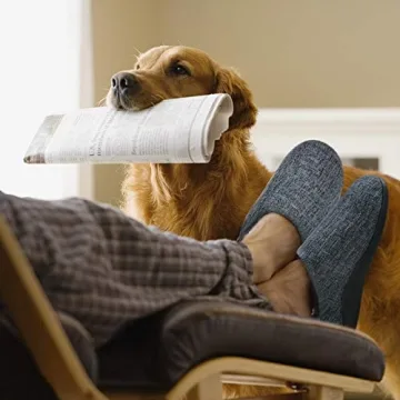 ERGOfoot Arch Support Slippers for Plantar Fasciitis Relief