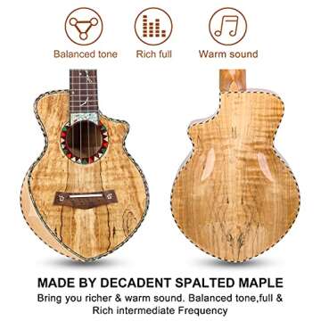 Hricane Concert Ukulele Spalted Maple for Beginners