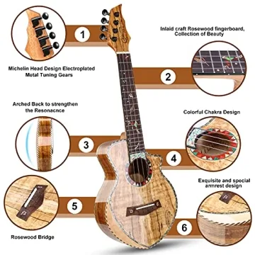 Hricane Concert Ukulele Spalted Maple for Beginners
