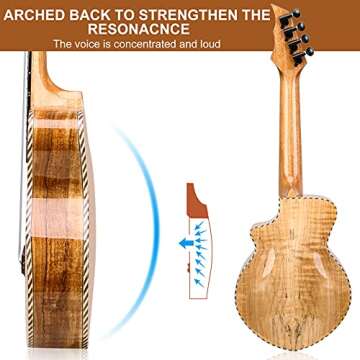Hricane Concert Ukulele Spalted Maple for Beginners